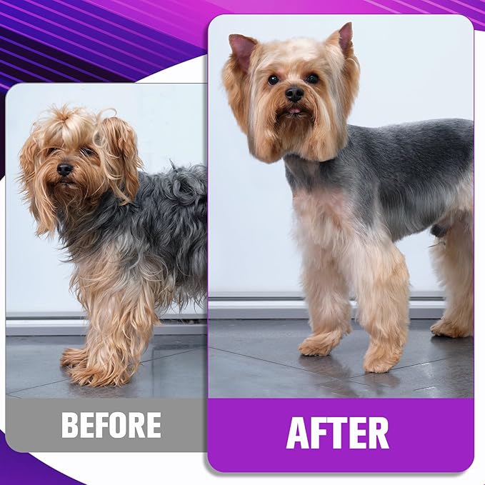 Professional Dog Grooming Scissors Set - 6.5" Thinning, 7" Straight, 7" Up-Curved, 7" Down-curved Scissors and Comb for Dog Cat Pet (Purple)