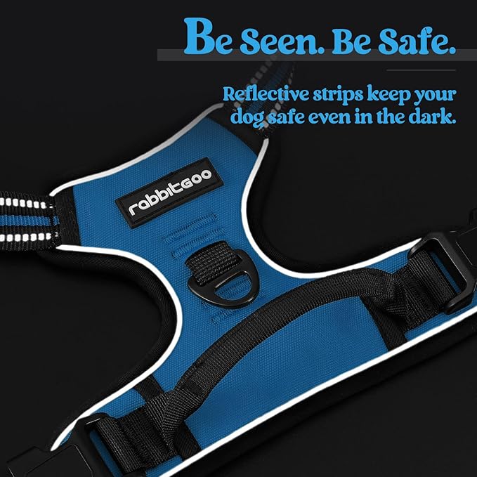 rabbitgoo Dog Harness No Pull with 2 Leash Clips, Adjustable Soft Padded, Reflective Oxford No Choke Pet Vest with Easy Control Handle for Medium Sized Dogs, Blue, M