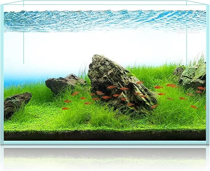 15 Gallon Rimless Aquarium, Ultra Clear Glass Low Iron Rectangular Fish Tank L19.6×W13×H13.8 Inches Thickness 6mm with EVA Foam Mat Included