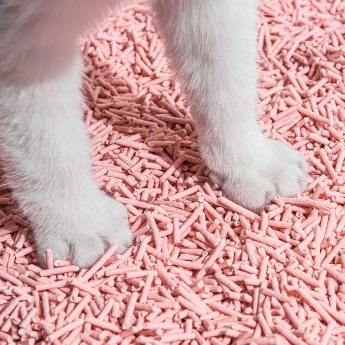 Tofu Cat Litter Natural Clumping Tofu Cat Litter, Fast Clumping and Easily Scoop-able 5.5lb/88oz 5 Scents - Peach, 6 Pack