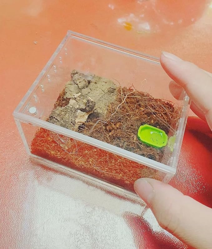 Insect breeding Box Reptile Feeding Box, Waterproof Enclosure Enclosure for arboreal Tarantula Scorpion Sling Lizards Snake Gecko Jumping Spider Snail Isopods (3.9 * 3.3 * 2.3inch)