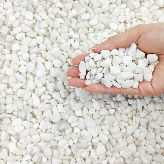 10 lbs White Pebbles for Indoor Plants, 3/8 Inch Decorative White Stones. Polished River Rocks for Potted Plants Vase Cactus Bird Bath and Outdoor Garden Landscaping