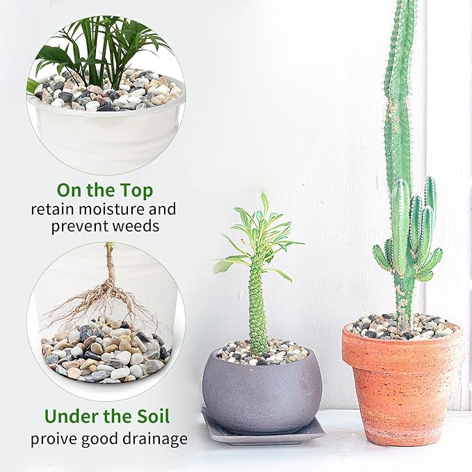 5 lbs Succulent and Cactus Pebbles for Indoor Plants, 3/8 Inch Pea Gravel Decorative River Rocks for Plants, Vases, Terrarium, Aquarium, Potted Top Dressing and Outdoor Landscaping Stones