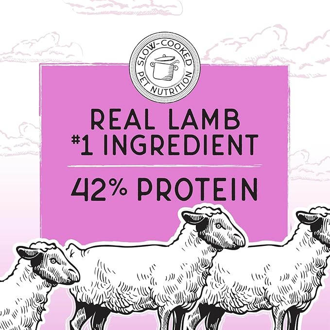 Blackwood Bounty Dry Cat Food, Red Meat Recipe for All Life Stages, 10 Pound Bag, High Protein, Grain Free