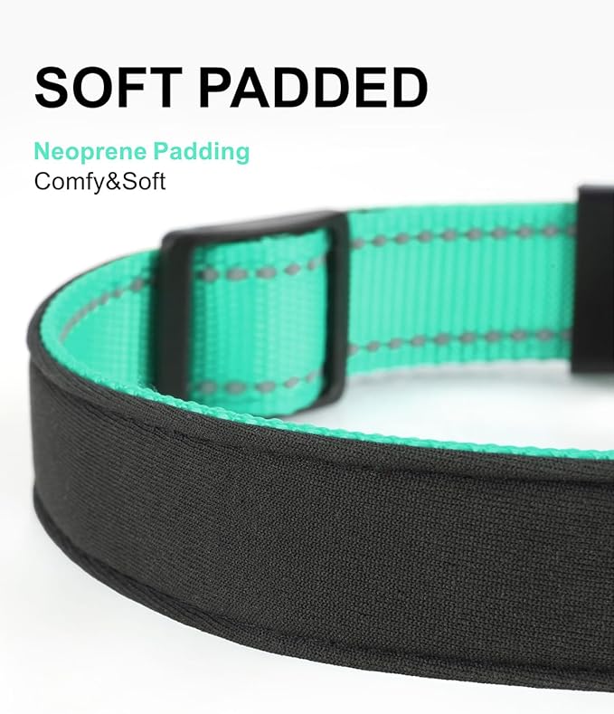 TagME Airtag Dog Collar,Waterproof Reflective Pet Collar with Airtag Holder,Soft Padded and Double D-Rings for Large Dogs,Turquoise