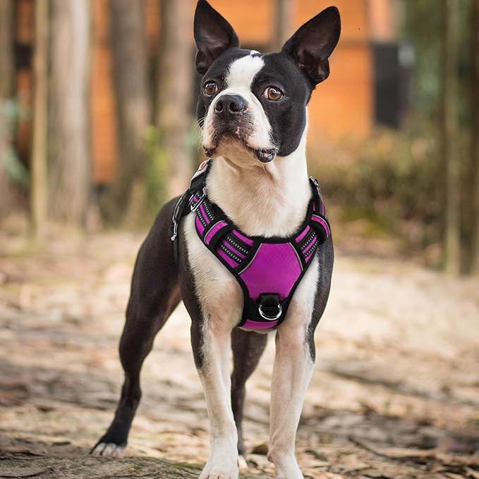 rabbitgoo Dog Harness Small Sized, No Pull Dog Vest with 3 Buckles, Adjustable Soft Padded Pet Harness with Easy Control Handle and Reflective Strips, Purple, S