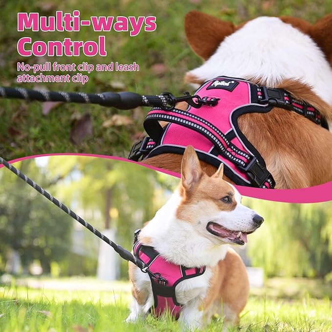 PUPTECK No Pull Dog Harness Medium Sized, Adjustable Reflective Dog Harness with Handle Easy Control, Comfortable Soft Padded Pet Vest Harness for Medium Dogs, Fuschia M