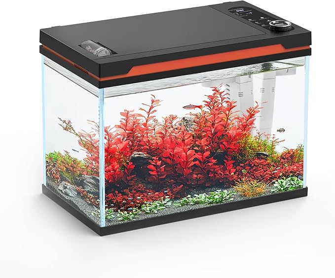 hygger Smart Aquarium Starter Kit, Glass Fish Tank with 24/7 Mode Light, Heater, Water Pump, Filter Media, Auto Feeder,Water Changer, Cleaning Tool, Fishing Net,Timer Automatic Switch (6 Gallon)