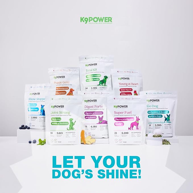 K9 Power Go Dog Hydration & Performance Drink Mix 1 lb - Active Dog Supplement for Muscle Function, Endurance, Recovery, with Electrolytes Support