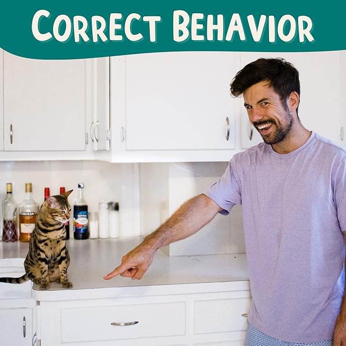 The Click Crusade (Cat Training Card Game Guide to Clicker Training for Cats for Teaching Tricks, Improving Communication and Bonding with Your Kitten (Clicker not Included)