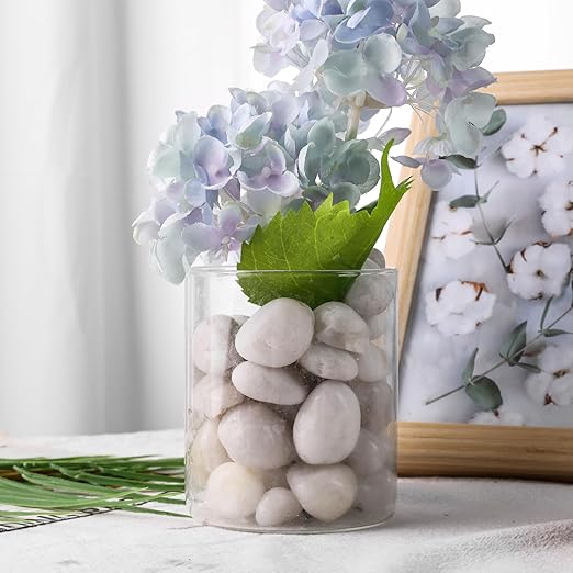 DomeStar 2.7lb White River Rocks, Polished Pebbles Decorative White Stones for Landscaping Vase Filler Fish Tank Aquariums Garden Outdoor and Indoor DIY