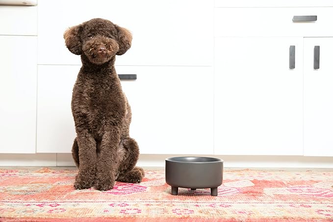 Waggo Uplift Ceramic Dog Bowl for Small Medium and Large Breeds - Heavyweight and Durable Pet Food and Water Dish Crock, Dishwasher Safe, Modern, Elevated Feeder (White, Large)