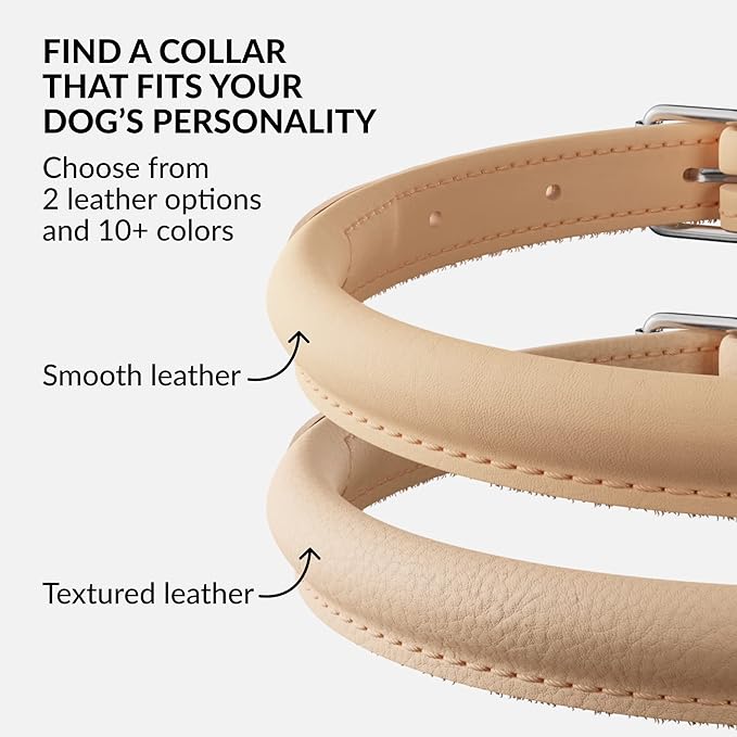 CollarDirect Rolled Leather Dog Collar, Soft Padded Round Puppy Collar, Handmade Genuine Leather Collar Dog Small Large Cat Collars 13 Colors (18-22 Inch, Beige Smooth)