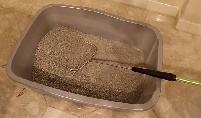 Sand Dipper Cat Poop Scooper & Chicken Poop Scooper - Rugged Big 6" Square Stainless Steel Long Handle for Home Kitty Litter Scoop & Farm Chicken Coop Scooper (Junior)