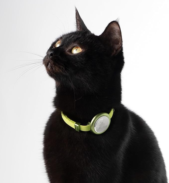 Safety Cat Collar Pro - U.S. IDA Gold Awarding Design, Elastic Quick Release Cat Collar with Buckle Non Breakaway - Lightweight for Kitten All Small Large Cats (Sierra Blue, S 5.9-11.8")