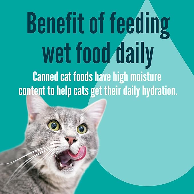 A Strong Heart Canned Wet Cat Food, Tuna Dinner in Gravy - 3 oz Cans (Pack of 24), Made in The USA with Real Tuna