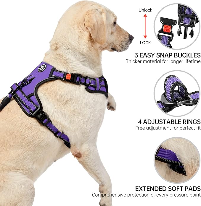 NESTROAD No Pull Dog Harness,Adjustable Oxford Dog Vest Harness with Leash,Reflective No-Choke Pet Harness with Easy Control Soft Handle for Large Dogs(Large,Purple)
