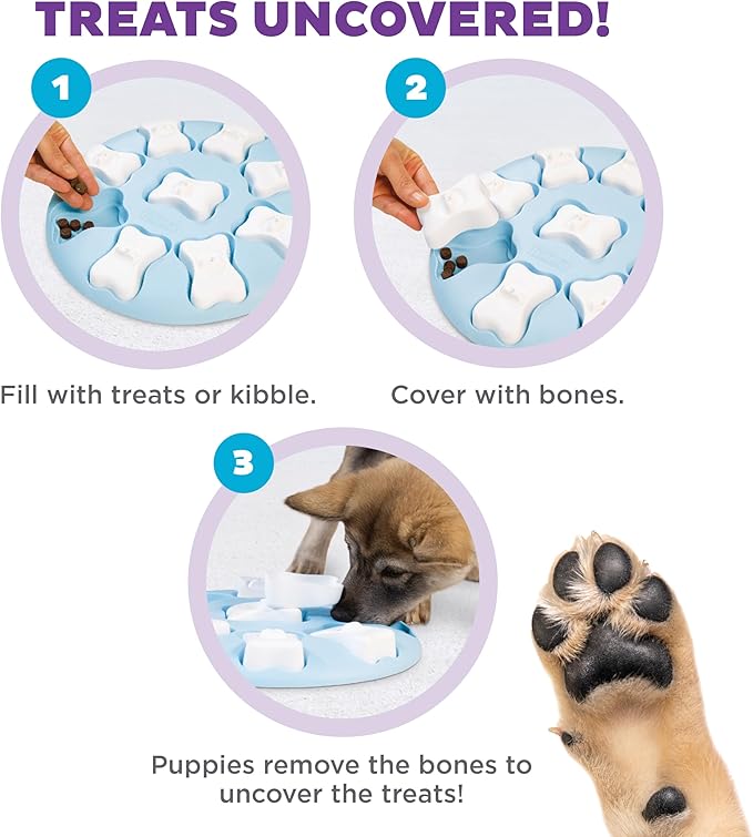 Outward Hound by Nina Ottosson Puppy Smart Treat Puzzle Enrichment Toy, Level 1 Beginner, Blue