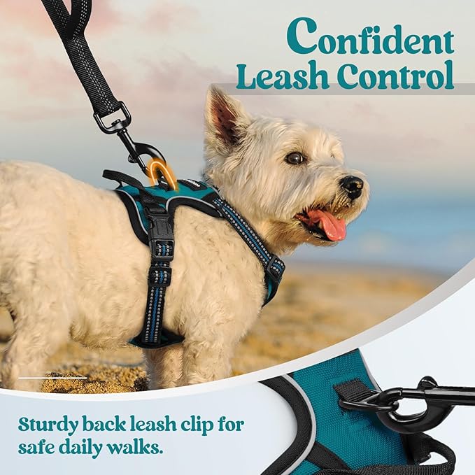 rabbitgoo Dog Harness No Pull with 2 Leash Clips, Adjustable Soft Padded, Reflective Oxford No Choke Pet Vest with Easy Control Handle for Puppy, Blue Coral, XS