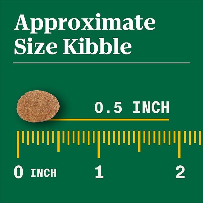 Nutro Natural Choice Large Breed Puppy Dry Dog Food, Chicken and Brown Rice Recipe, 13 lbs.