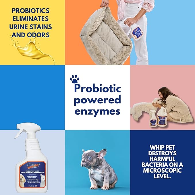 Whip-Pet Pet Odor Eliminator and Stain Remover -Professional Strength Enzymatic Cleaner for Dog Urine and Carpet Odor Eliminator - Pet Odor Remover, 32OZ