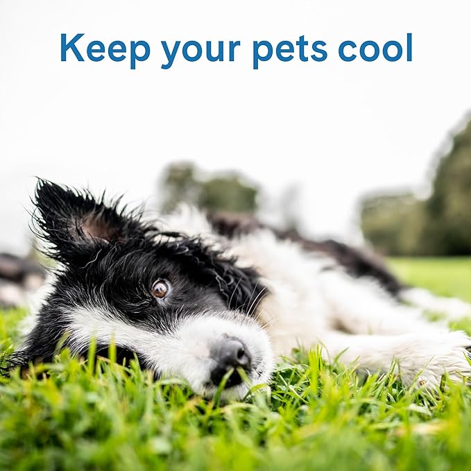 The Green Pet Shop Cool Pet Pad - Small, Disney’s Stitch - Self-Cooling, Pressure Activated Mat for Dogs & Cats from 9-20 lbs - Non-Toxic Gel, No Water Needed