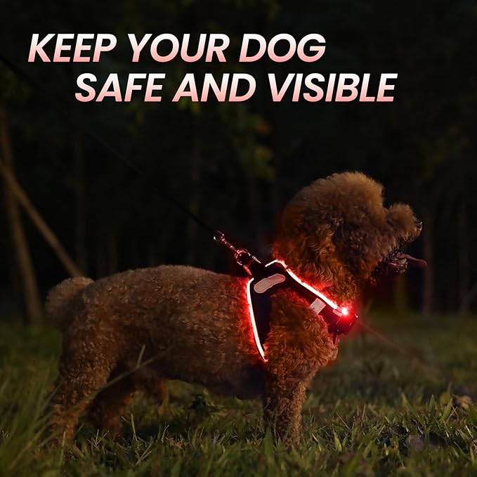 PceoTllar Light Up Dog Harness, LED No Pull Reflective Dog Harness, Flashing Lighted for Night Walking - Small/Medium, (Black Red,L)