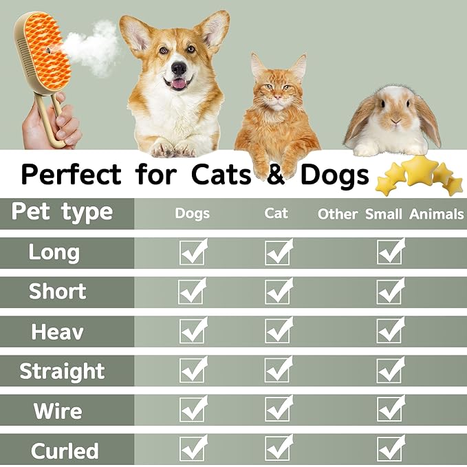 Cat Steam Brush for Shedding, 4 in 1 Rechargeable Pet Steam Brush for Dogs and Cats, Anti-Static, Massage, Cleaning, Shedding & Combing All In One! (White)
