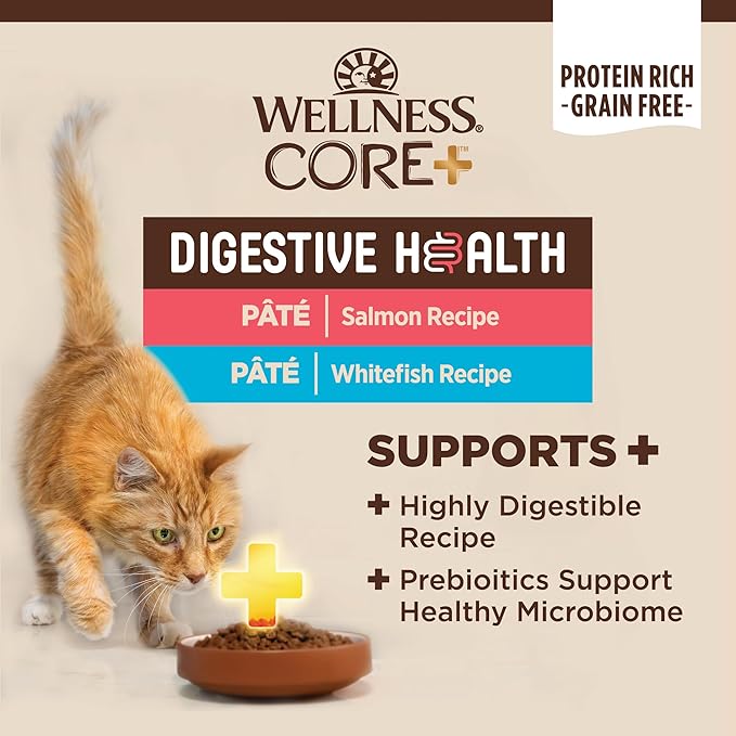 Wellness CORE+ Digestive Health Pate Adult Wet Cat Food, Natural, Protein-Rich, Grain Free, 3 Ounce, 12 Pack (Salmon & Whitefish Variety Pack)