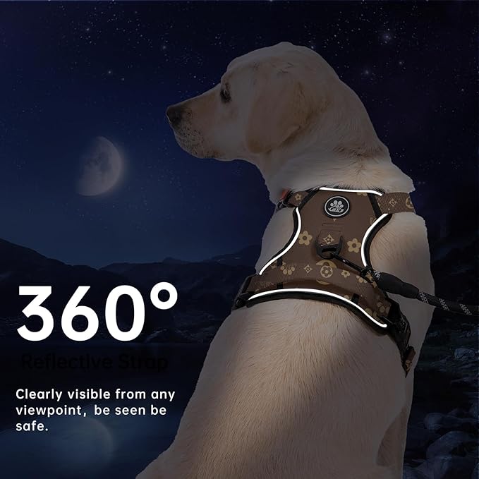 IVY&LANE No Pull Dog Harness with Leash Set, Reflective No Choke Pet Vest,Adjustable Oxford Dog Vest Harness with Easy Control Handle for Large Dogs (Dark Brown,XL)