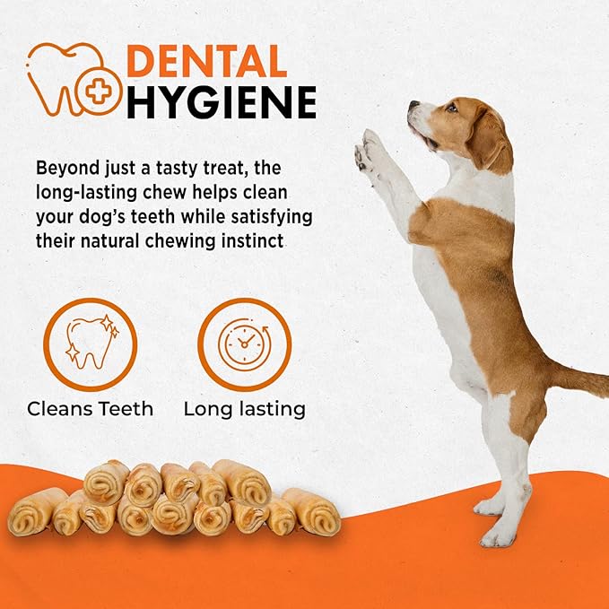 Canine Naturals Chicken Recipe Chew - Rawhide Free Dog Treats - Made from USA Raised Chicken - All-Natural and Easily Digestible - Large (2 Count) for Dogs 50-75Lb