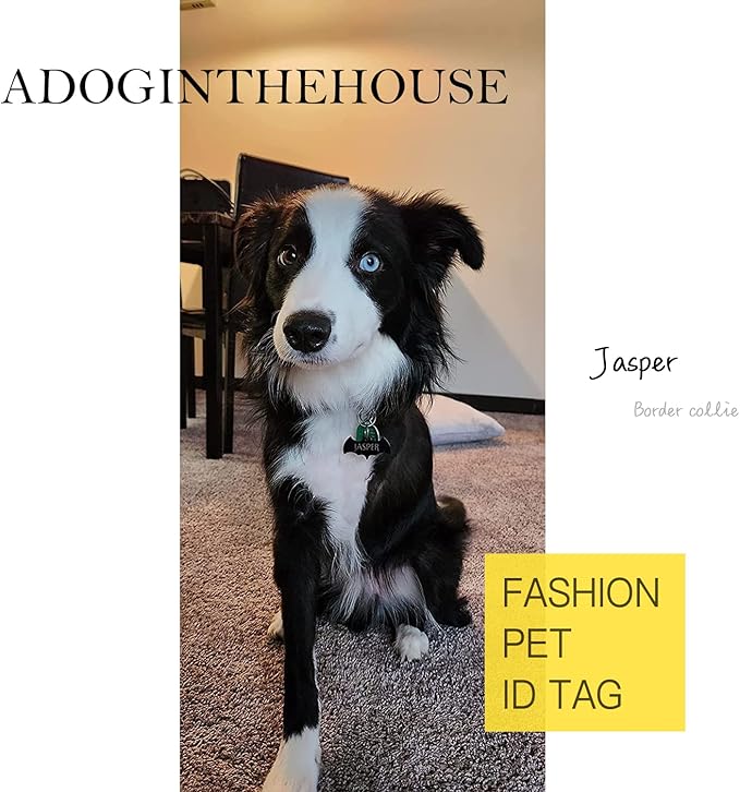 Premium 316 Surgical Grade Stainless Steel Personalized Dog & Cat ID Tags - Fun Shapes for Sporty Outdoor Pets - Custom Engraved Name & Info for Collar Accessories & Pet Necklaces Bone