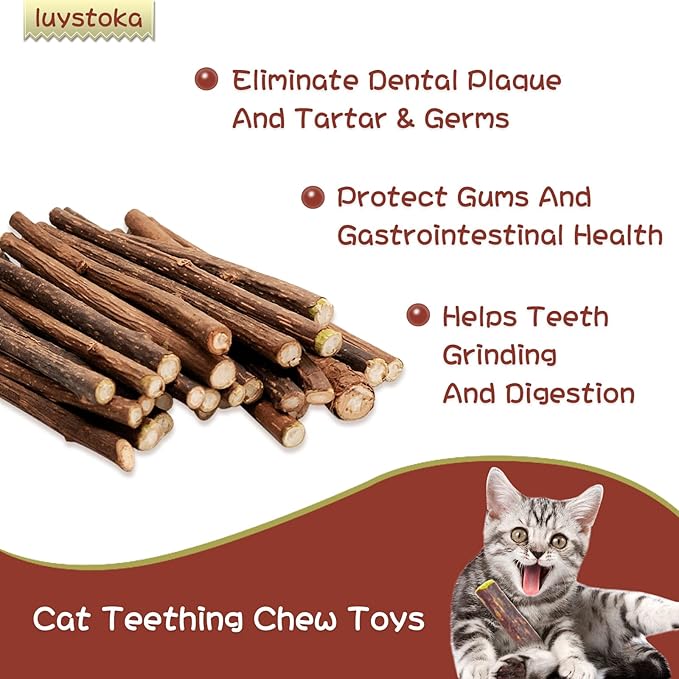 Silvervine Sticks for Cats, 30PCS Kitten Toys Catnip Toys Matatabi Silvervine Sticks Kitty Chew Toys Wooden Stick Kitten Teething Toys Molar Suitable for Cats of All Ages