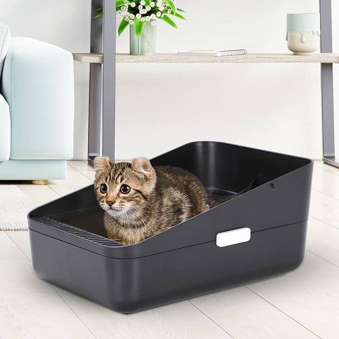 Sfozstra Open Litter Box, High Side Sifting, Secure and Odor Control, Removable, Easy to Clean for Cats Up to 8 Pounds (Black Small)