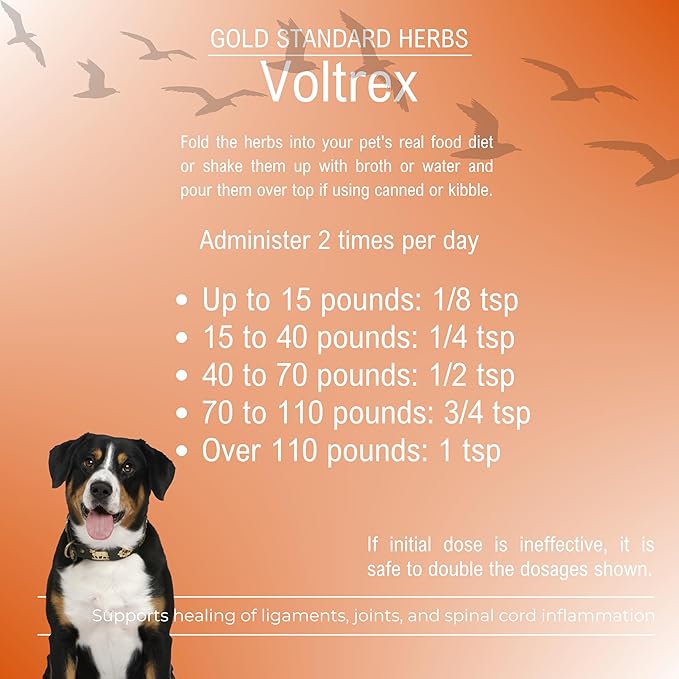 Voltrex Ligament and Spinal Cord Inflammation Relief for Dogs by Gold Standard Herbs, All Natural Bupleurum and Cinnamon Twig Powder, 250 Grams