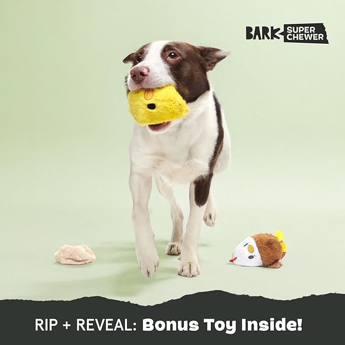 Barkbox Hatch Me If You Can Dog Toy for Medium to Large Aggressive Chewers Two-Layer Tearable Toy with Hidden Surprise Inside for Interactive Playtime