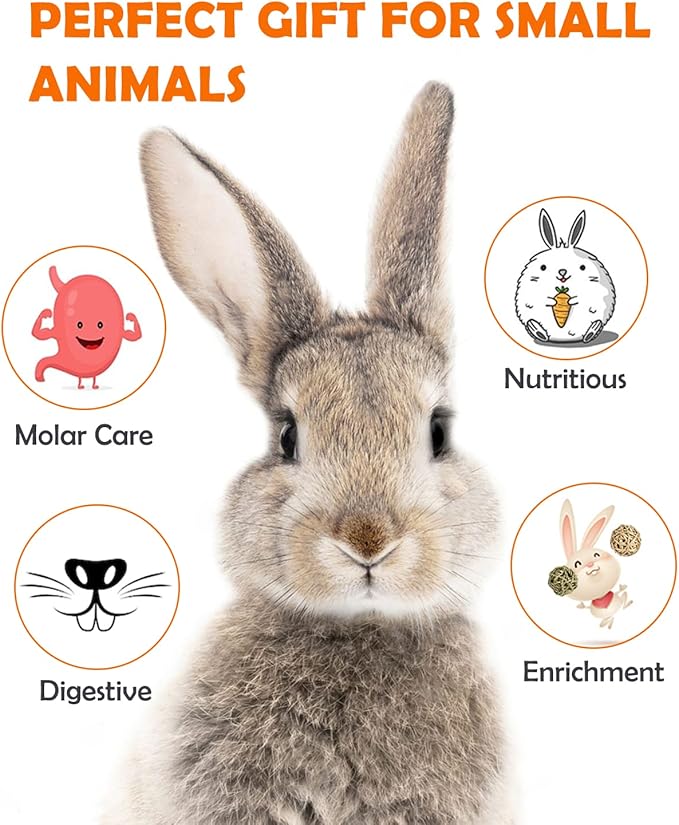 Sofier 12Pcs Timothy Hay Treats - Natural Chews for Teeth - Handmade Rabbit, Chinchilla, Gerbil, Rat, Hamster Toys - Bunny & Guinea Pig Toys