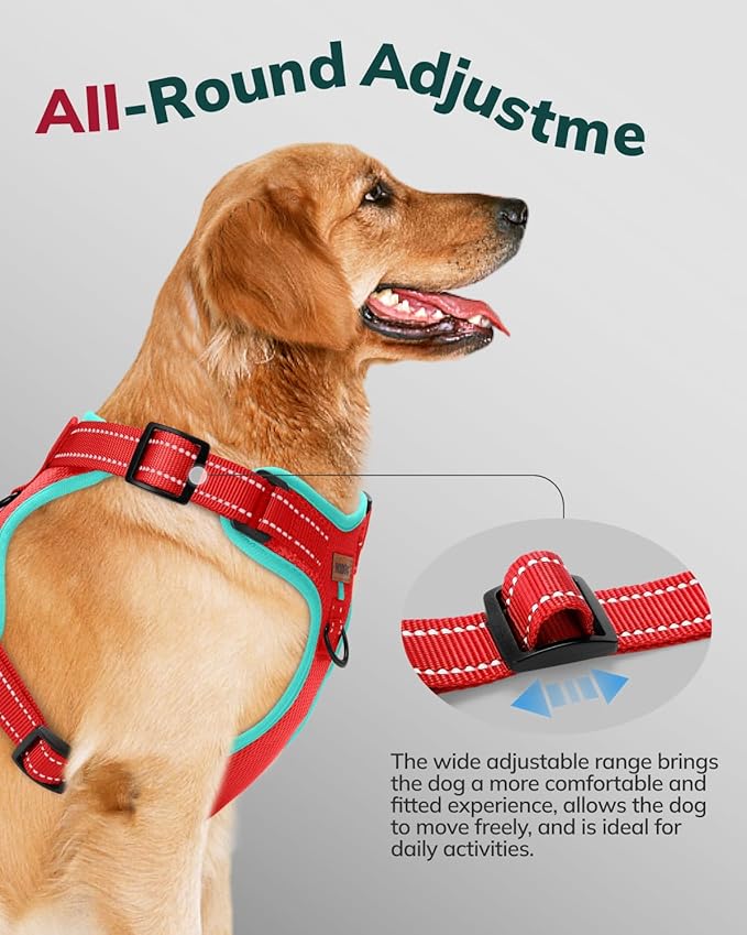 MIDOG No-Pull Dog Harness | Adjustable & Reflective Pet Harness Leash Set for Small Medium Large Dogs Walking, Training| No Choke, Front Clip, Soft Padded Vest with Easy Control Handle - Red, M