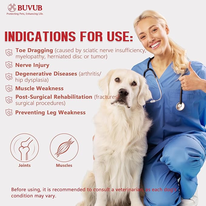 Canine Dog Knuckling Brace Rear Leg Dog Foot Brace Wrap for Toe Dragging Cause by Sciatic Nerve Insufficiency, Myelopathy, Herniated Disc (Large)