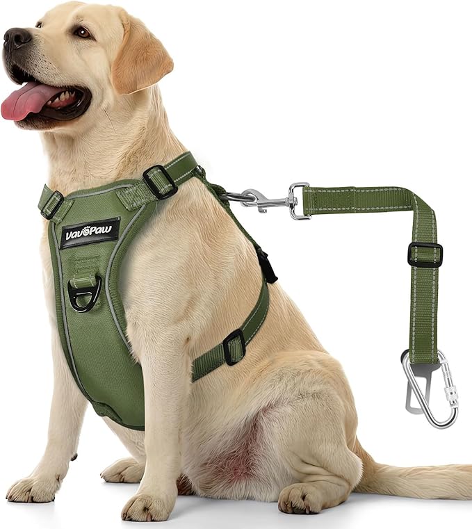 Dog Seat Belt Harness for Car, Dog Car Harness Adjustable Mesh Breathable & Dogs Seatbelt Safety Tether with Elastic Bungee for Small Medium Large Pets(Army Green, L)