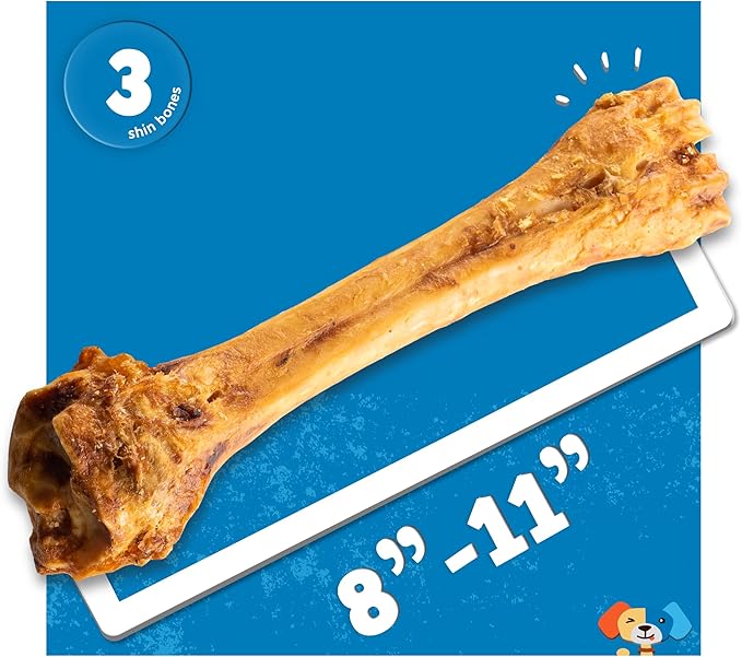 Jack&Pup 8-11” Shin Bones, Roasted Meaty Beef Bone for Dogs – Long Lasting Natural Dog Bones, Big Dog Bone for Large Dogs (3 Pack)