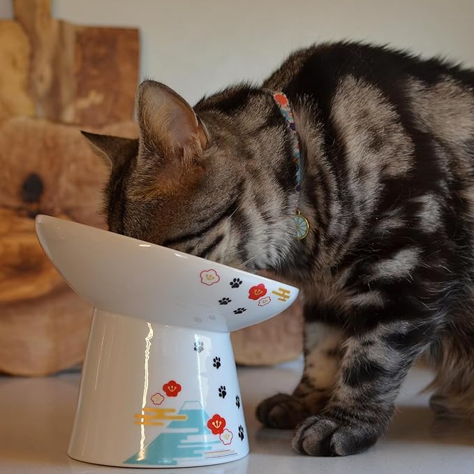 Necoichi Extra Wide Raised Cat Food Bowl, Elevated, Prevent Neck & Whisker Fatigue, Dishwasher and Microwave Safe, No.1 Seller in Japan! (Fuji, Extra Wide Tilted)