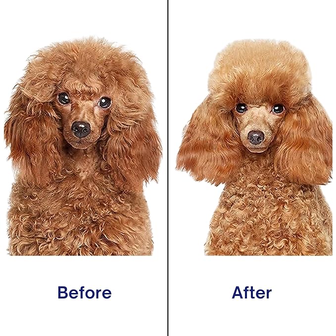 Self‑Cleaning Pet Grooming Brush for Dogs & Cats – One‑Click Fur Release, Soft Rounded Bristles Massage, Ergonomic Non‑Slip TPR Handle, Safe Deshedding Tool for All Hair Types