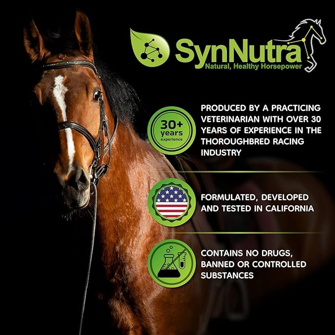 SynoStride All Natural, All-in-one, Joint and Hoof Health Supplement for Horses, Powder with Glucosamine, Chondroitin, Hyaluronic Acid, Biotin, Methionine, Trace Minerals (1080 Grams) x2