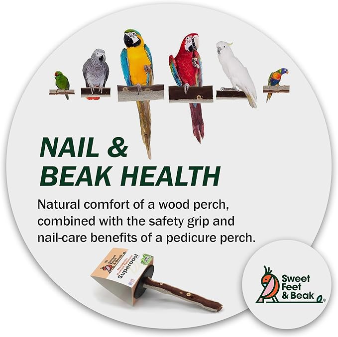 Superoost Manzanita Pumice Pedicure Perch- Easy to Install Bird Cage Accessories for Healthy Feet, Nails and Beak - Natural Bird Perches Imitates Birds' Life in The Wild - S 8"