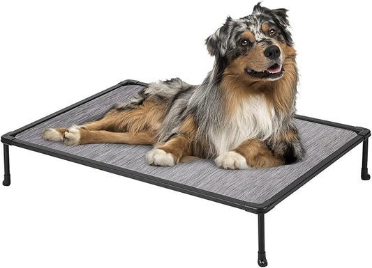 Veehoo Chewproof Elevated Dog Bed - Cooling Raised Pet Cot, Breathable Mesh, Washable & Non-Slip for Medium Dogs, Indoor/Outdoor, Black Silver Mat and Black Frame, 32x25inches (Model CWC2203A03)