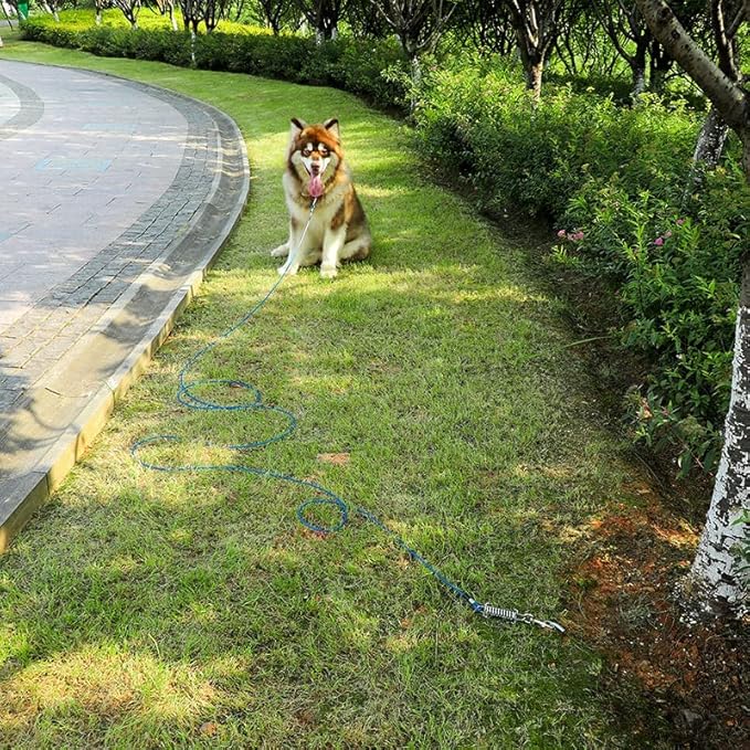 Tie Out Cable for Dog,50FT Dog Leads with Swivel Hook and Shock Spring,Heavy Duty Tie Out Cable for Large Dogs Up to 125lbs,Durable Dogs Runner Tether Line for Outdoor,Yard