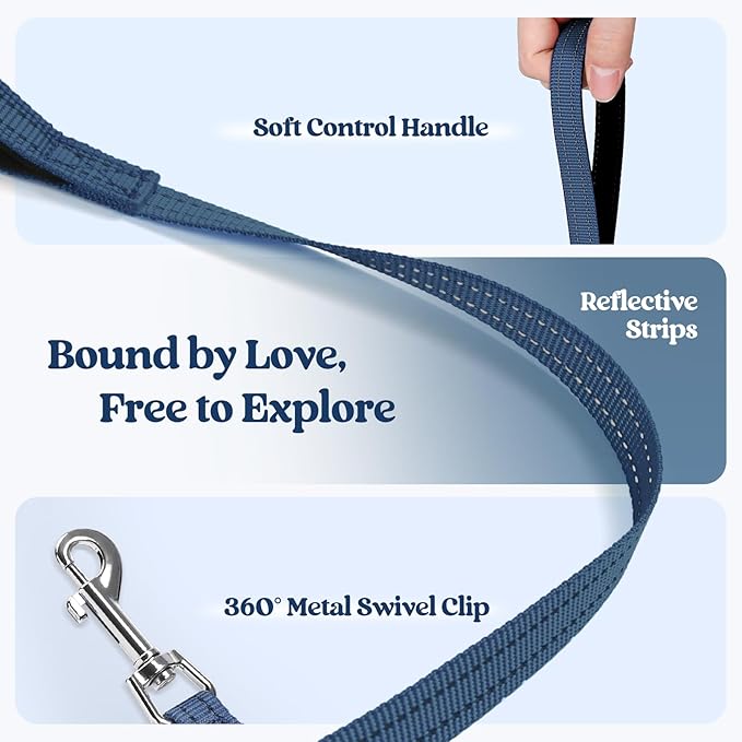 rabbitgoo Dog Harness Small Sized and Leash Set, Step in Soft Light Puppy Vest, Breathable Mesh Pet Harness, Reflective for Outdoor Safe Walking, Navy Blue XXXS