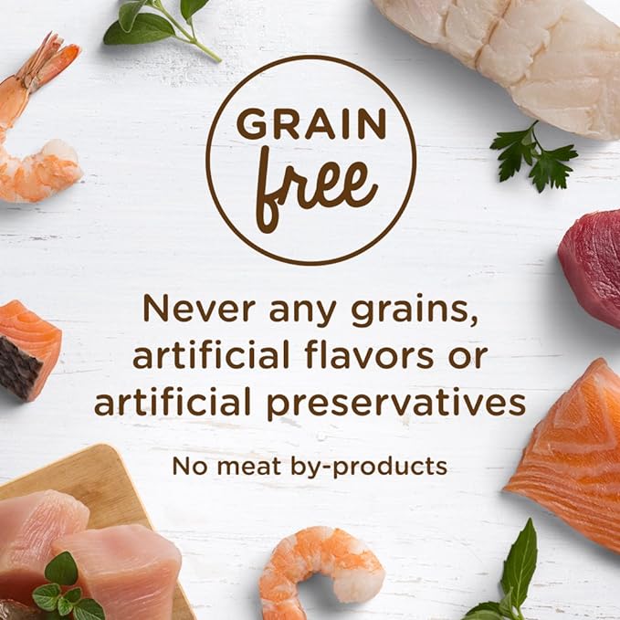 Rachael Ray Nutrish Natural Wet Cat Food, Ocean Fish-A-Licious Recipe, 2.8 Ounce Cup (Pack of 12), Grain Free (6303330281)