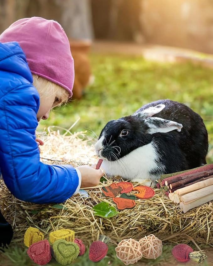 ERKOON 33PCS Bunny Chew Toys for Rabbits Teeth, Natural Rabbit Toys Apple Wood Sticks, Carrot, Timothy Grass Toys for Small Pets, Hamster, Chinchilla, Guinea Pig Dental Care and Treat Teething Toys